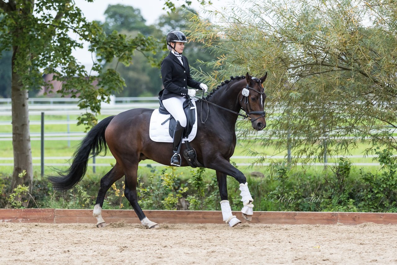 Bild 697 - Fuchshof Turnier